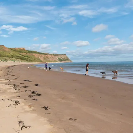 شقة Driftwood Skinningrove